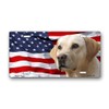 Yellow Labrador on American Flag License Plate