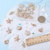 SUNNYCLUE 1 Box 28Pcs Shell Charms Starfish Charms Bulk Summer
