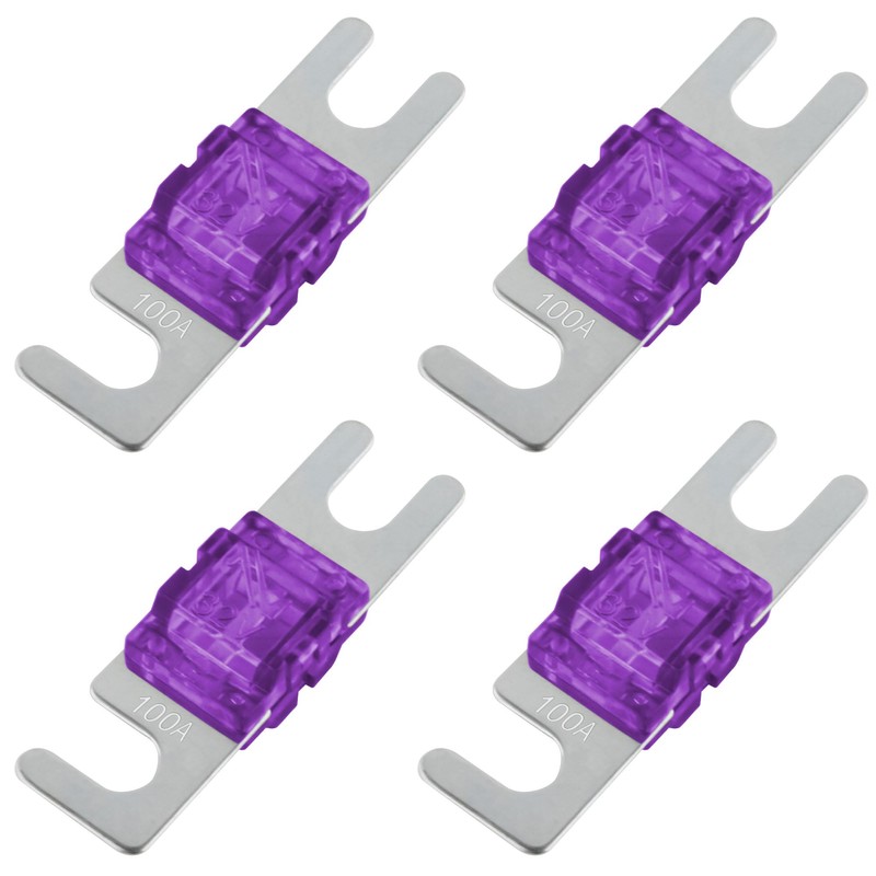 SeKi Mini ANL Fuse 100A for Car Truck Motorcycle Boat
