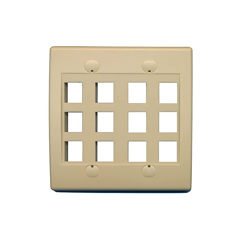 RiteAV - Keystone Wall Plate Double Gang 12-Port (1 Piece