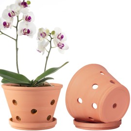 8 inch Terracotta Orchid Pots with Holes and Saucers, 2 Pack Clay Orchid Planter Pots for Repotting, Large Terra Cotta Orchid Pot, Plant Flower Pots for Orchid Indoor Outdoor Promotes Air Circulation