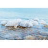 Ever Since - Dead Sea Salt Scrub - 250ml (Blossom)