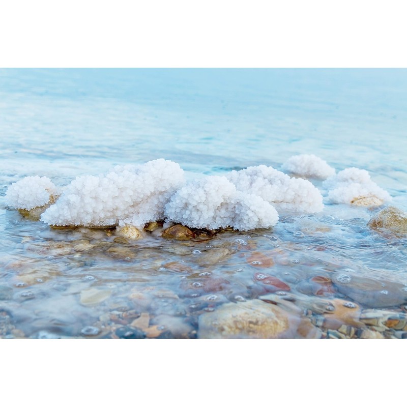 Ever Since - Dead Sea Salt Scrub - 250ml (Blossom)