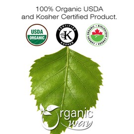 Organic Way Dried Birch Leaf Whole (Betula pendula) - European Wild-Harvest | Organic & Kosher Certified | Raw, Vegan, Non GMO & Gluten Free | USDA Certified | Origin - Albania (1LBS / 16Oz)