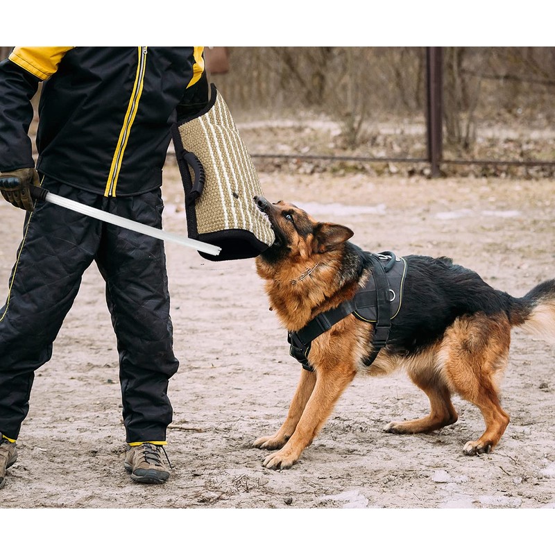 Professional Dog Bite Training Set 3 in 1 Dog Bite