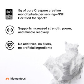Momentous Creatine Monohydrate Powder - Creapure Creatine Powder - Supports Strength, Lean Muscle, & Recovery for Men & Women - NSF Certified for Sport - 5 g per Serving - 90 Servings