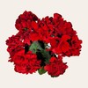 Realistic Artificial Flowers - UV Resisistant Red Geranium Bush -