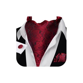 Barry.Wang Mens Cravat Tie Silk Ascot Paisley Scarf Self Ties Pocket Square Cufflinks Set Dress Wedding
