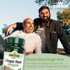 Natures Aid Ginger Root 500 mg 90 Tablets (Botanical Supplement,