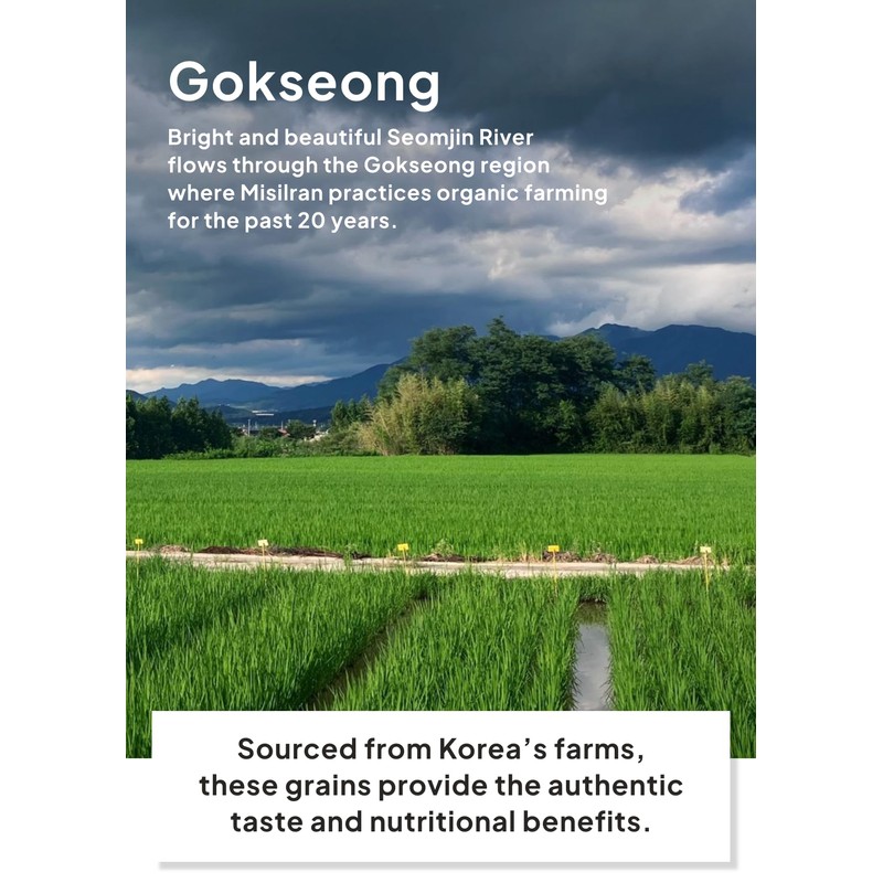 Korean Food Korean Misugaru Multi-Grain Drink Mix, Nutritional Mixed Grain