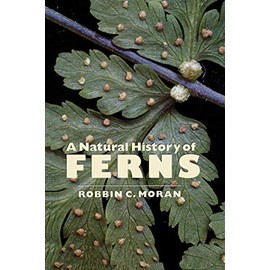 A Natural History of Ferns