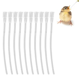 HQRKOTM 20 Pieces Young Birds Feeding Syringe, Transparent Parrot Feeder for Birds, Feeding Tube, Fast Feeding Tube for Baby Pet Birds