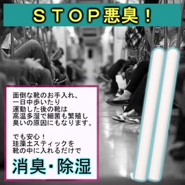 Will Diatomaceous Earth Stick, 2 Sticks x 2 Boxes, Absorbs Moisture and Unpleasant Odors, Japanese Manufacturer, Original Storage Bag Included, Dry