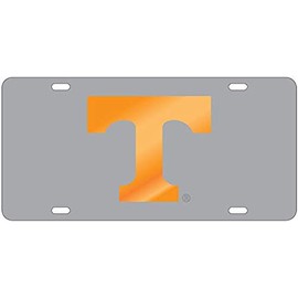Dixie Dawgs Laser Cut Tennessee Gray License Plate Car Tag Orange Mirror T