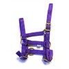 Rhinegold Nylon Foal Headcollar, purple
