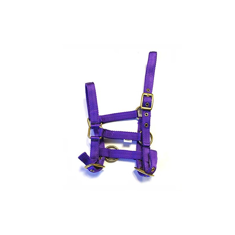 Rhinegold Nylon Foal Headcollar, purple