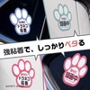 Recording, Sticker, Paw Seal, 3.5 x 3.1 inches (9 x