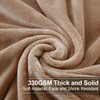 EASELAND Soft King Size Blanket All Season Warm Fuzzy Microplush