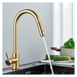 XKHLQLPEF 304 Stainless Steel Kitchen Sink Faucet Black Brushed Sink Vegetable Basin Pull-Out Faucet Kitchen Accessories (Color : G)