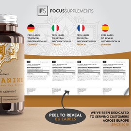 Focus FS L Theanine | 180 L-Theanine Capsules from Green Tea - High Strength 750mg Green Tea Extract Providing 300mg L'theanine per Serving | L Theanine Supplement | Non-GMO Gluten Free | Made in UK