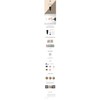 Genocell BBC Plus 50ml / 제노셀 비비씨 플러스 50ml