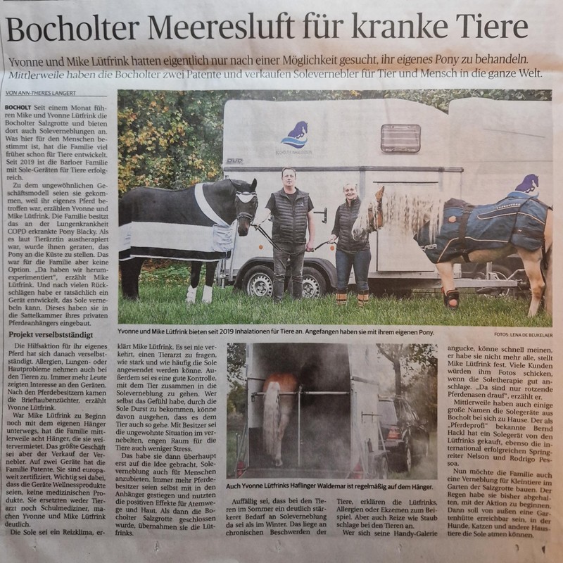 Generisch 2.5% Dead Sea Sole 1 Litre Bocholter Inhalations