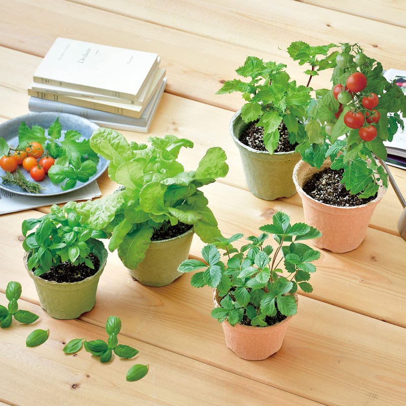 Ecot Planting Kit and Pot