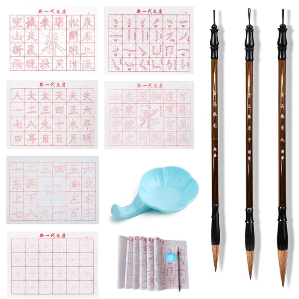 XCSJ 10 Pieces Chinese Calligraphy Brush Set Sumi Drawing Brush