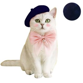 Dog Beret Hats Cats Hats Fashion Four Seasons Funny Wool Winter Pet Hat (Navy Blue)