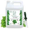 Minty Ant Killer - Natural 5% Peppermint Essential Oil Spray