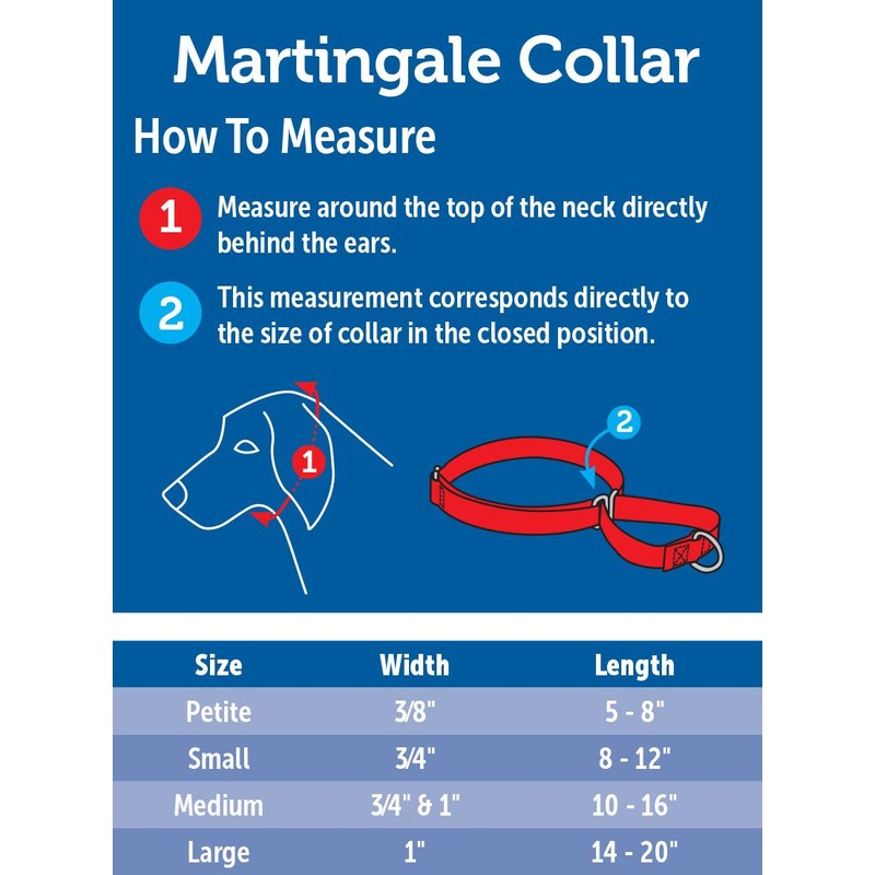 PetSafe Adjustable Martingale Collar - Only Tightens When Dogs Pull,
