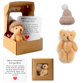 Pocket Hug Positive Mini Teddy Bear, Bear in a Box, Mini Plush Figures, Funny Teddy Bear Doll, Worry Bear Hug in a Box, Small Animal with Inspirational Card for Women, Baby Shower, Friends