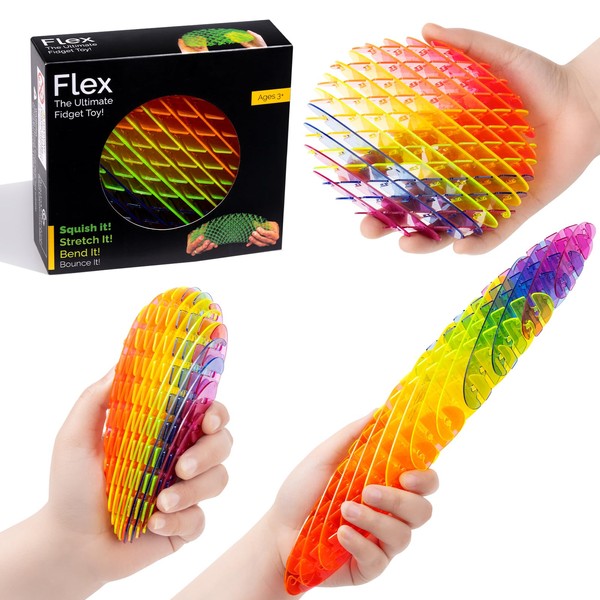 Fidget Worm Toy-Fun Interactive Sensory Toys for Kids & Teens
