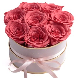 ROSEMARIE SCHULZ Heidelberg Rosenbox rosa rund Infinity Rosen - Flowerbox 8 echte Rosen haltbar 3 Jahre Durchmesser 15 cm - Geschenk für Frauen (Rosa-Korall)