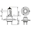 10 x Bosch H7 24 V 1987302471 Lampadina Faro