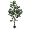 Petals Single Trunk Fiddle Leaf Fig Silk Tree (5 Foot)