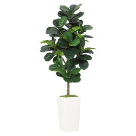 Artificial Fiddle Leaf Fig Tree - 6FT Fake Fig Tree in White Planter - Faux Ficus Lyrata Floor Plant for Home, Office, Living Room Decor - Realistic Fake Indoor Tree