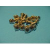 Jurassic Classic Auto Parts GM 20 Chrome Self Tapping Screws