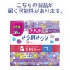 Natura Absorption Panty Liners, 6.7 inches (17 cm) x 0.39