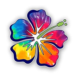 Magnet Hibiscus Flower Hawaiian (Rainbow Tie Dye) Magnetic vinyl bumper sticker sticks to any metal fridge, car, signs 5"