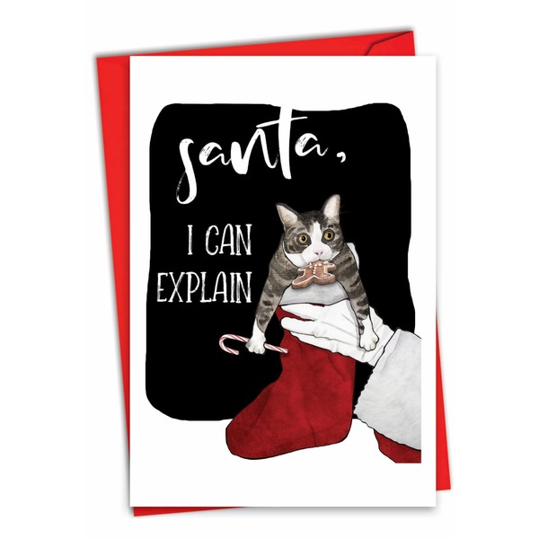 NobleWorks, Cat Explanation - Humor Christmas Card with Envelope -