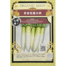 Green Field Project A260 Blue Shigeki Daikon Radish