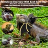 Bearded Dragon Leash and Harness Set, Adjustable Bearded Dragon Harness