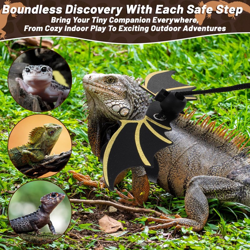 Bearded Dragon Leash and Harness Set, Adjustable Bearded Dragon Harness