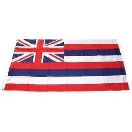 Flag USA Hawaii 90 x 150 cm Flags