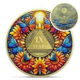 Delicate Sunflower 9 Year Sobriety Coin - Nine Year Recovery Butterfly AA Coins - One Day at A Time NA HA AA Chips and Medallions - 1-40 Years Living Clean Alcoholics Anonymous Gifts for Men Women