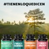 Probioticos 60 Billion UFC + Prebióticos con inulina de agave