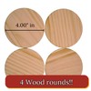 Torch Paste Woodland Adventure Coaster Kit | The Original Wood