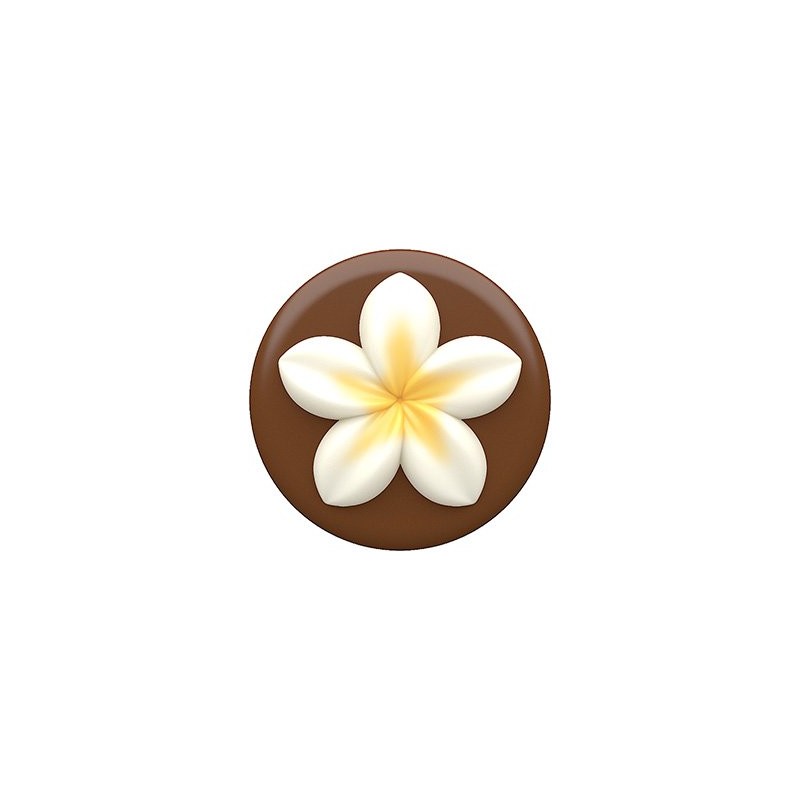 SpinningLeaf Plumeria Oreo Cookie Chocolate Candy Mold
