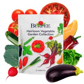 Burpee Heirloom Vegetable Seeds, Variety Pack with 35 Varieties of Plant Seeds, 30,000+ Garden Seeds - Mixed Non-GMO Seeds with Select Varieties of Lettuce, Beans, Tomatoes, Peppers, Squash and More